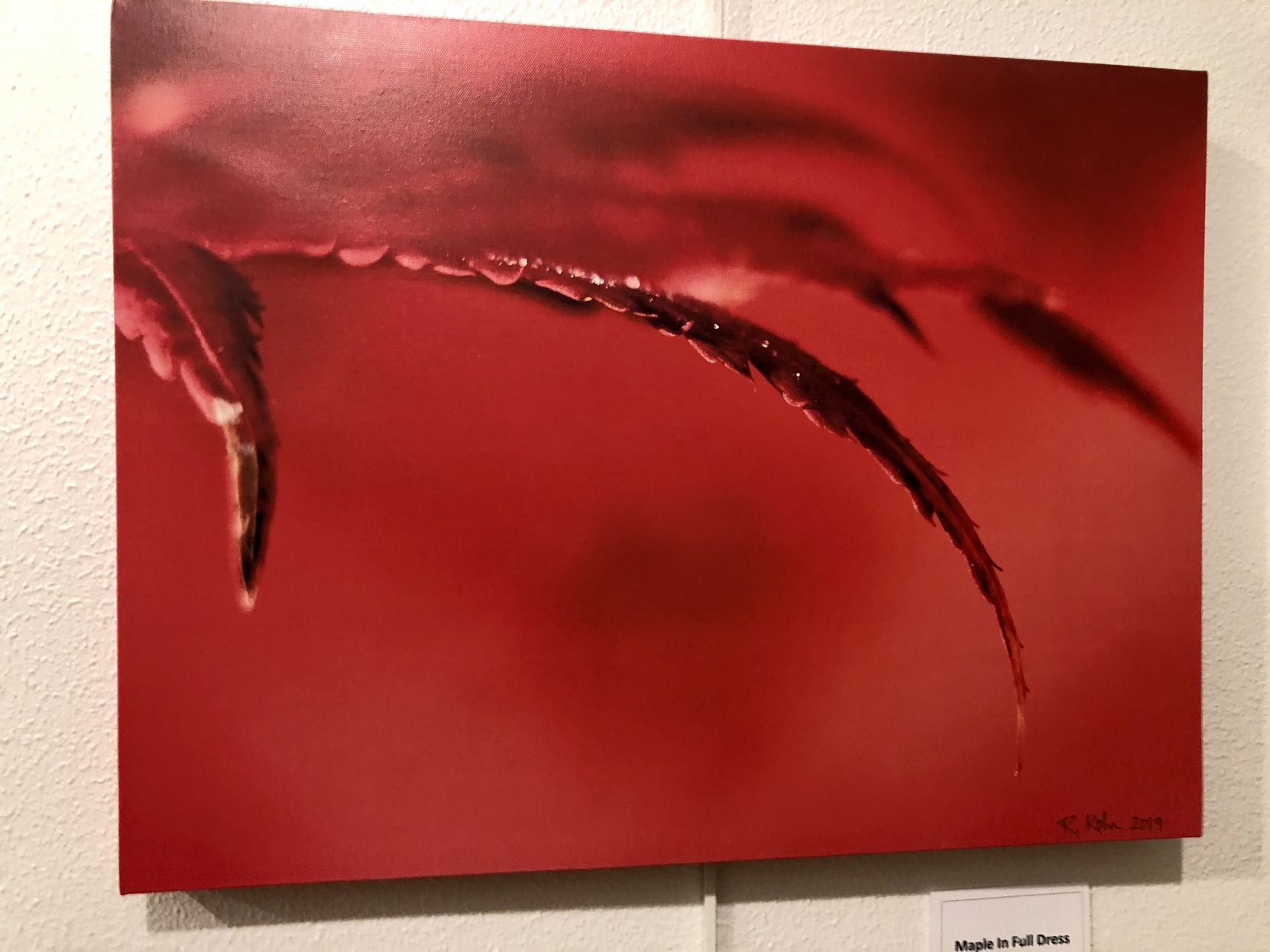 Creative Eye photography exhibit